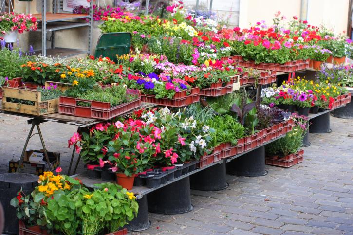 Un stand lors du marché aux fleurs